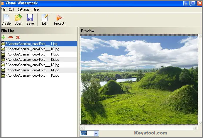 visual watermark 4.76 activation key