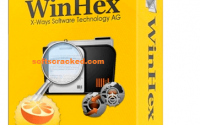 winhex crack